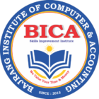 BICA Academy